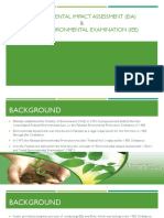 Environmental Impact Assessment (EIA)