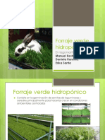 Forraje Verde Hidropónico Nutricion Act