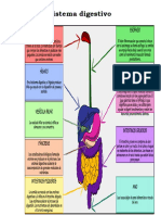 Guia de P de Area Quirurjica