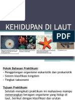 2 - Kehidupan Laut