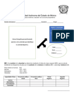 Documento de Leyva