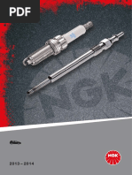 18R Fischer 2010 | PDF