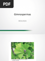 gimnospermas