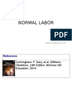 Normal Labor: Adrian Goenawan, M.D