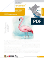 Parihuana_comun_ficha (1).pdf