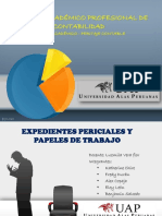 Expediente Judicial y Papeles de Trabajo