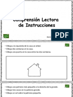 Comprension Lectora Instrucciones PDF