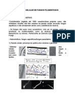 Fungos Filamentosos.doc