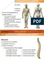 AnatomiaHumana Columna