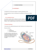 La Structure Bacterienne