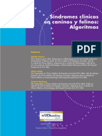 Sindromes y Algortimos PDF