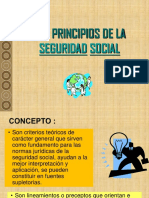 Tema 4 Principios SS