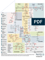 6 Biochemistry Map