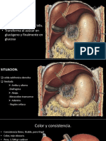 Dialnet FisiologiaYBioquimicaEnElAyuno 2223818