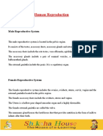 Human Reproduction: Male Reproductive System