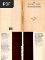 Comte Sponville Bom Dia Angc3bastia