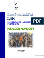 Guia profesional.pdf