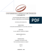 Investigacion Belen PDF