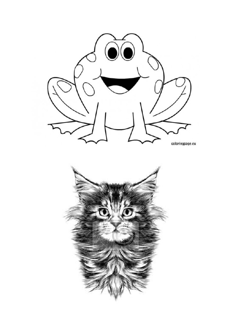 Dibujos de Animales Con Eje de Simetria | PDF