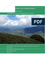 O Meio Ambiente em Mocambique.pdf