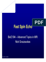 Fast Spin Echo: Bioe 594 - Advanced Topics in Mri Nick Gruszauskas