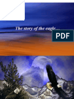 The Story of The Eagle