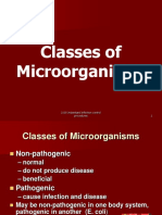 Classes of Microorganisms Explained