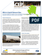 Micro-Liquid Natural Gas: Project Snapshot