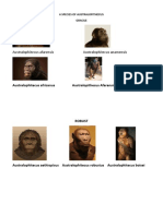 6 Species of Australopithecus