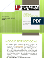 modelo biopsicosocial