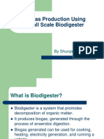 Biogas Production Using Small Scale Biodigester: by Shunpei Iguchi