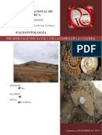 Paleontologia Pampa de La Culebra