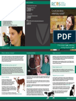 1vn Careersleaflet 2014 PDF