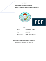 Loaporan PDF Fina