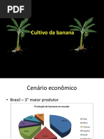 Aula 8 27_08 --- Cultivo Da Banana