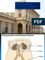 Insuficiencia renal aguda y cronica 2017.pptx