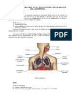 1-Unidad7Aparato_respiratorio.pdf