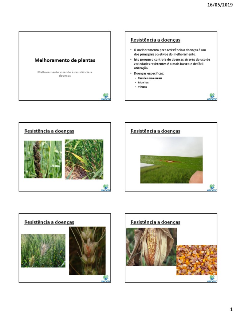 aula-9-melhoramento-de-plantas-para-a-resist-ncia-a-doen-as-1
