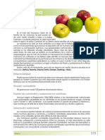 manzana.pdf