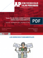 Plantilla Uap 2019-1b - Sesion 2. El Bloque de Constitucional y Dd Ff
