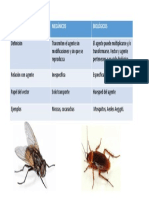 Tipos de Vectores