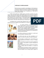 Apunte_de_nariz_cavidad_nasal_y_cavidades_paranasales.pdf