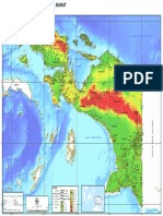 2009-11-24 Basemap Papua