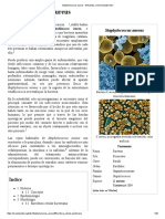 Staphylococcus Aureus Wikipedia La Enciclopedia Libre PDF