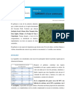 Informe-Garbanzo 2016.pdf