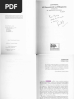 Pimentel Rinoceronte