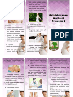 leaflet bumil.docx