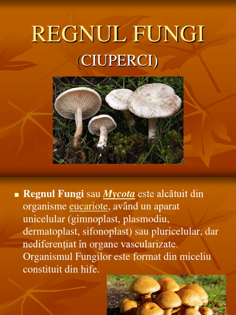 ciuperci clasa 5)