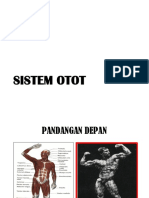 1.3 Sistem Otot