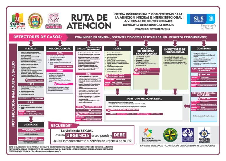 Ruta de Atención Integral A Víctimas de Violencia Sexual en ...